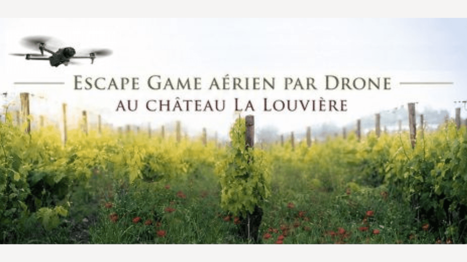 Agenda en ligne - 1