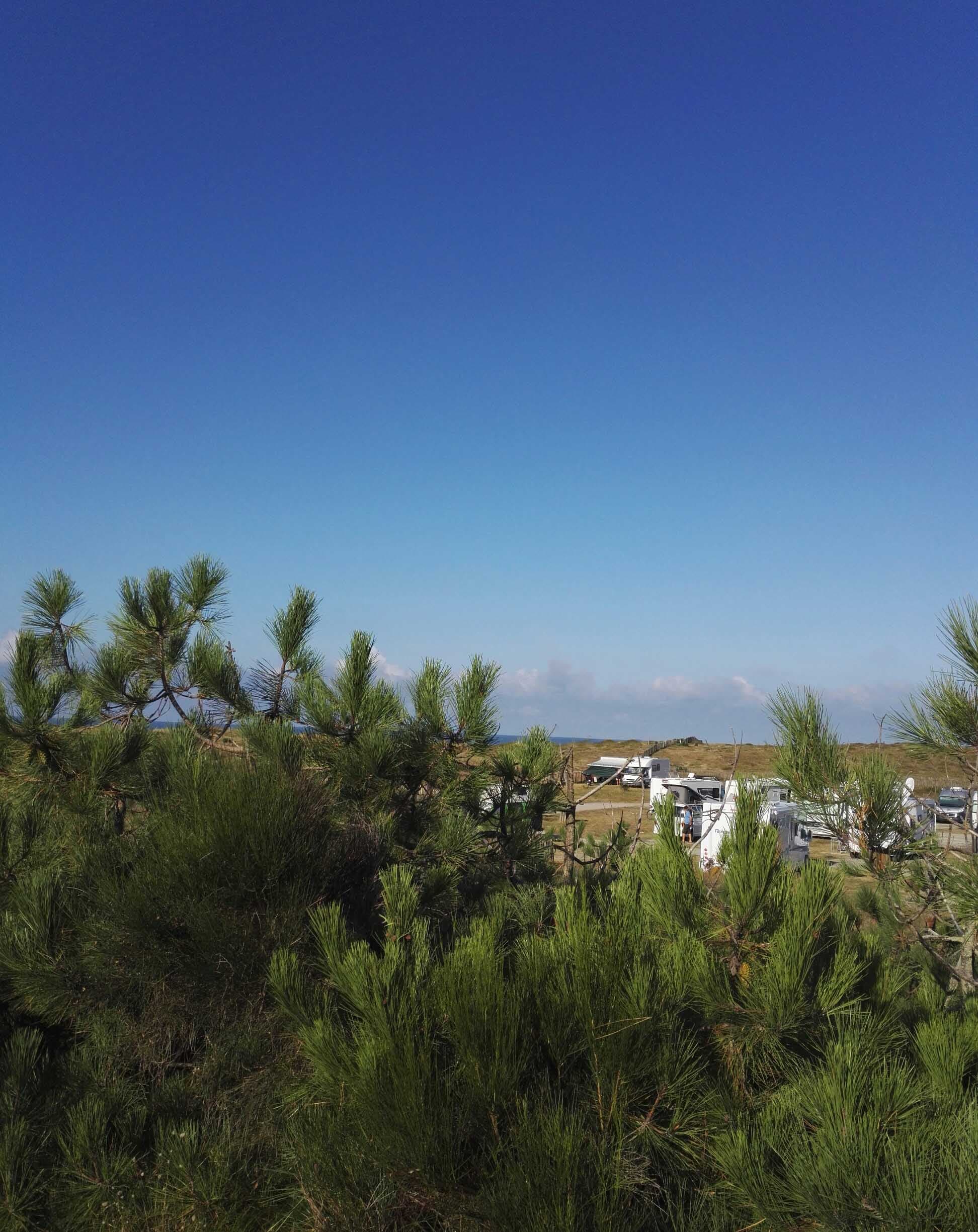 Aire camping-cars Montalivet3