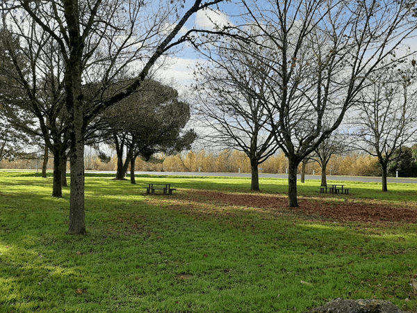 Aire-de-pique-nique-aiguillon