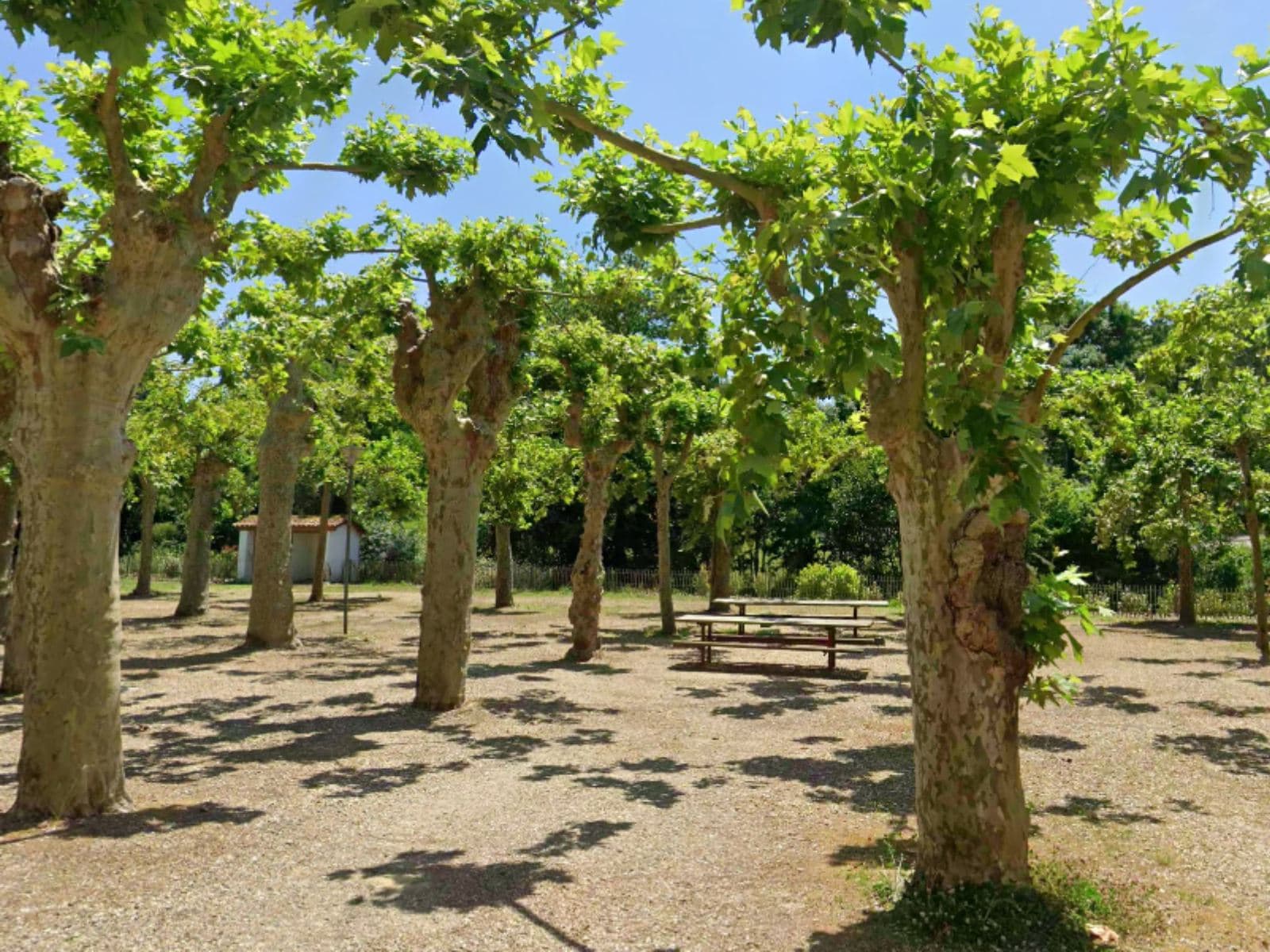 Aire pique nique