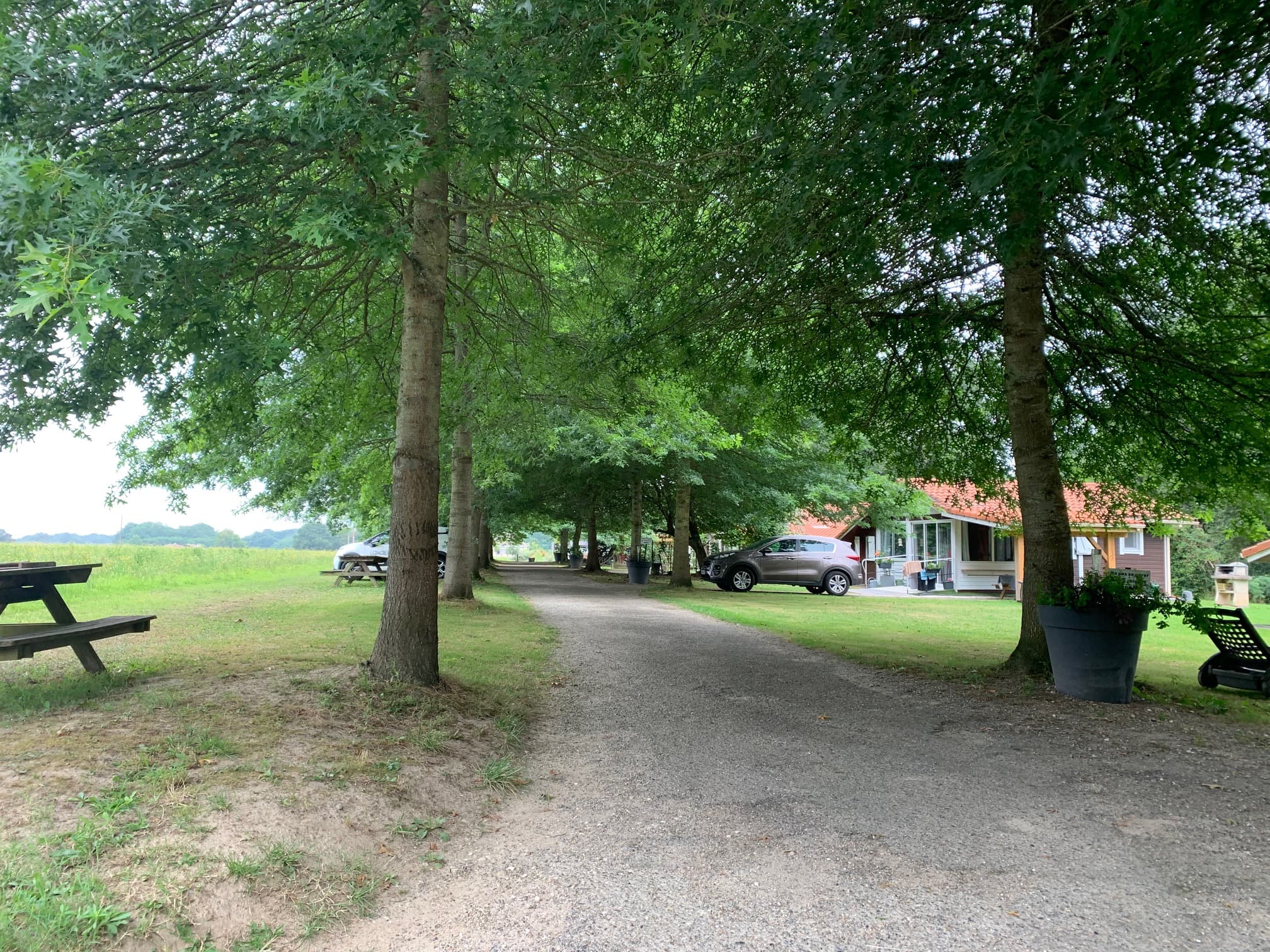 Allée entrée Dutouya
