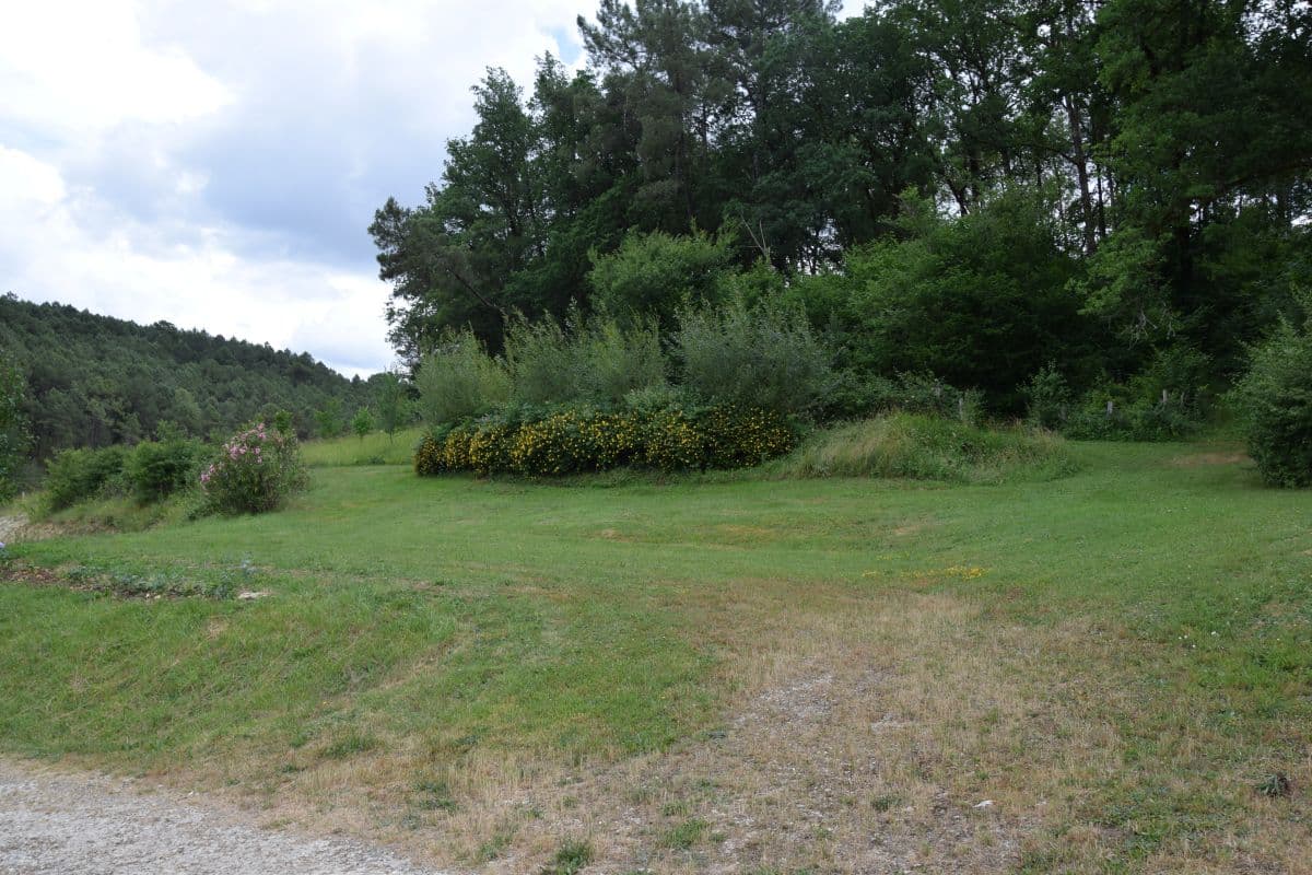 Angueur-Jacinthe (26)