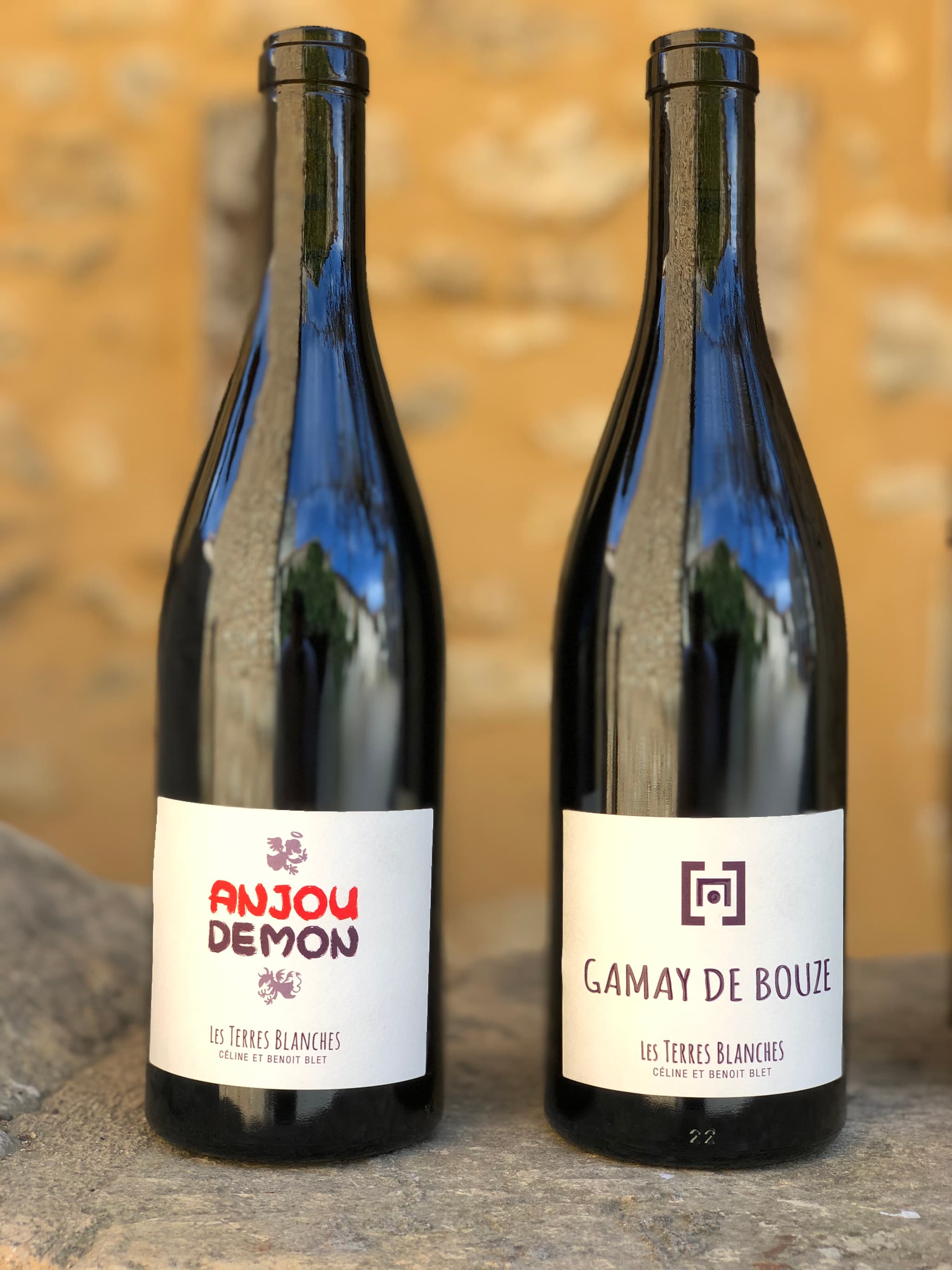 Terres blanches Viticulteur Vins bio degustation Oiron Plaine Vallees Thouarsais