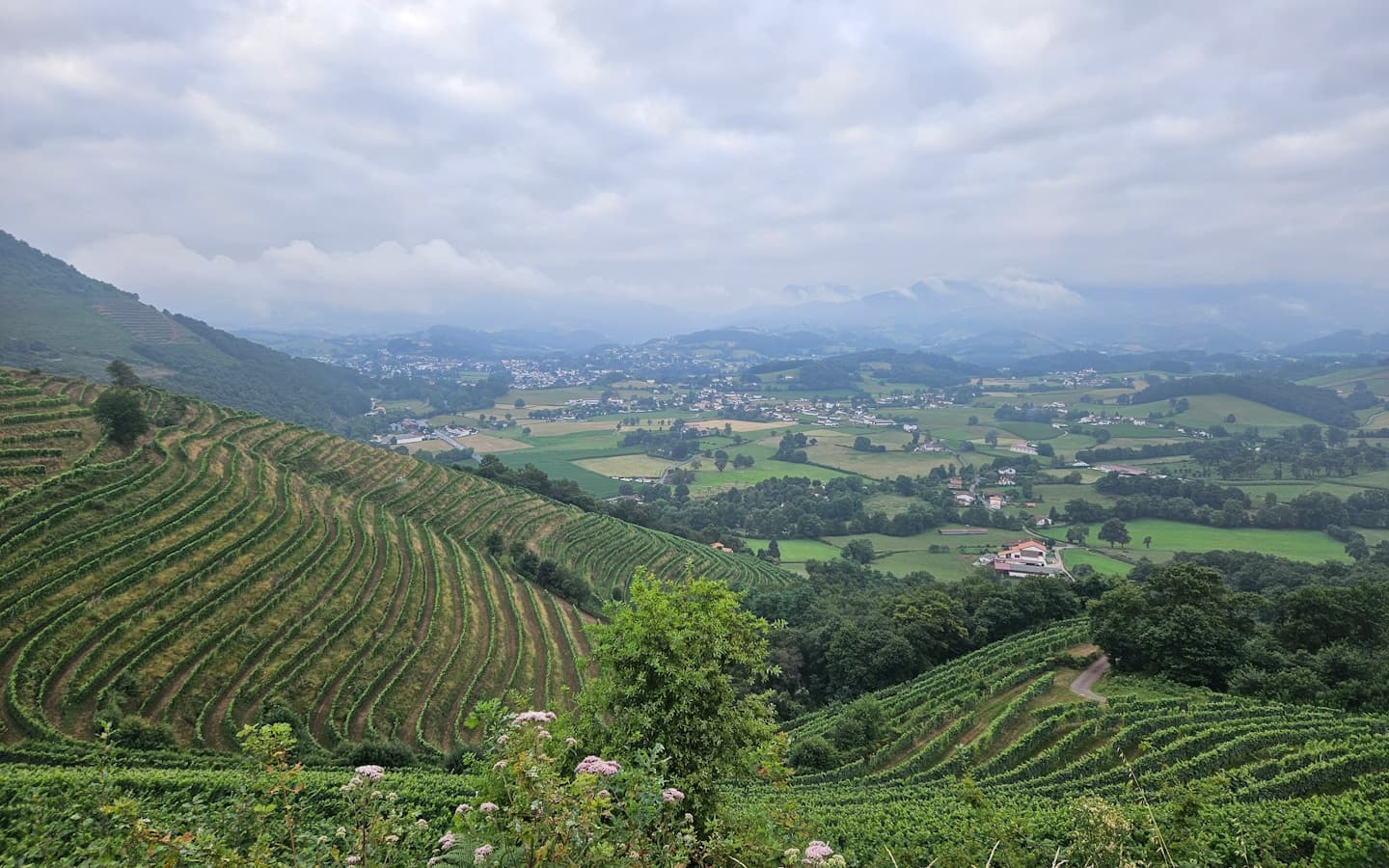 Vue sur Garazi