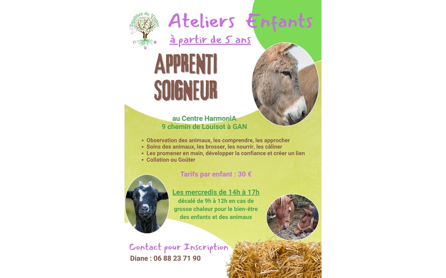 Apprenti soigneur