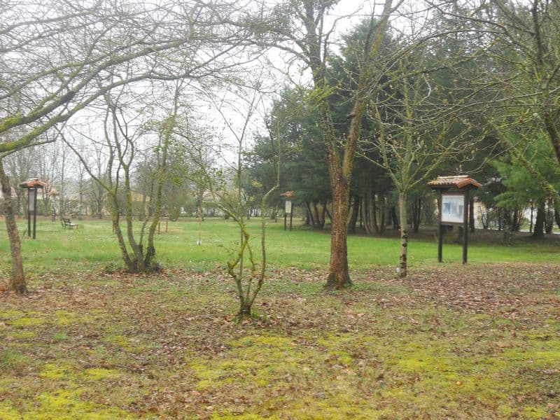 Arboretum de Saint Maurice la Clouère_3