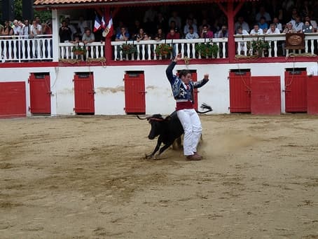 OTPT_Arènes_Bégaar_02