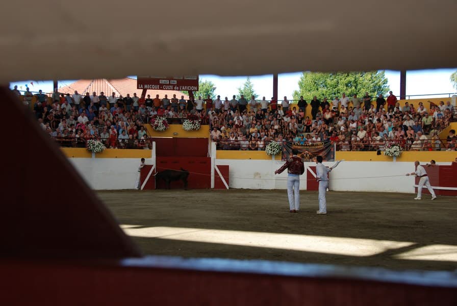 Arènes de Pomarez