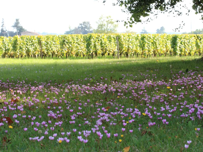 Destination Garonne, Château d'Armajan des Ormes, Preignac
