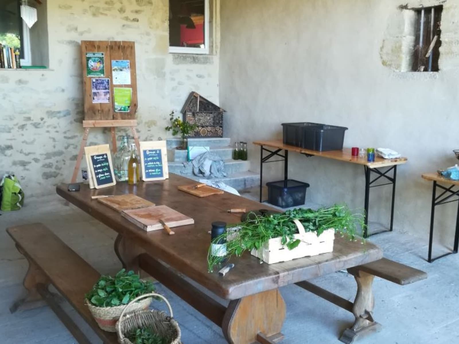 Atelier cuisine sauvage