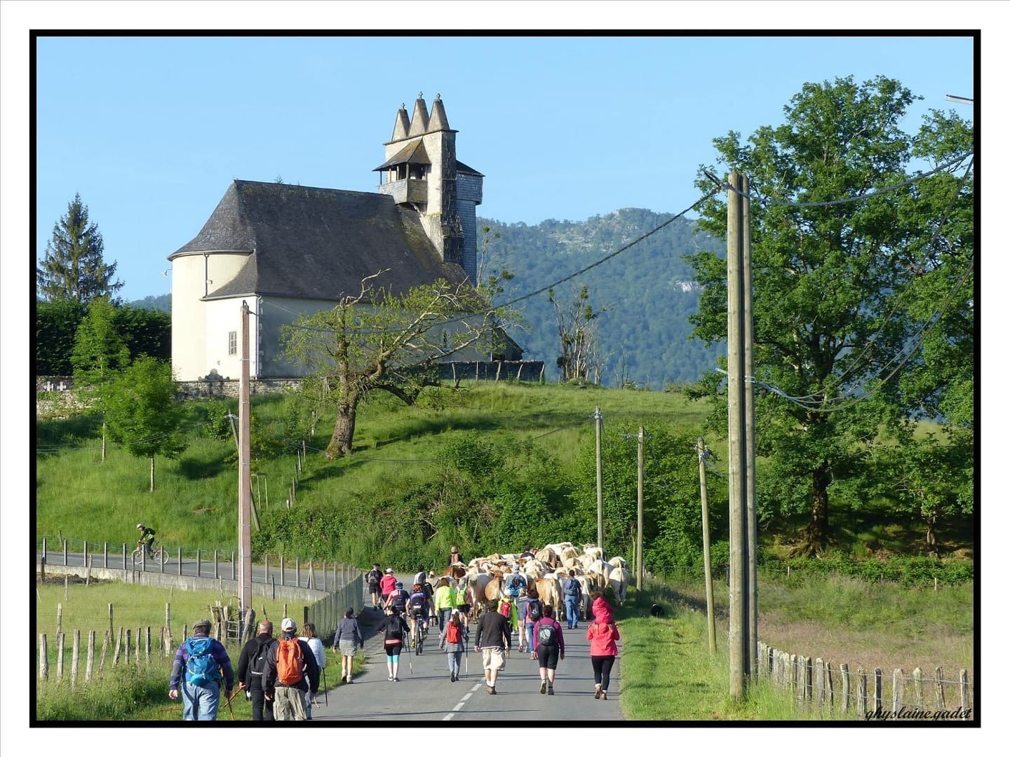 Atxinea-Transhumance