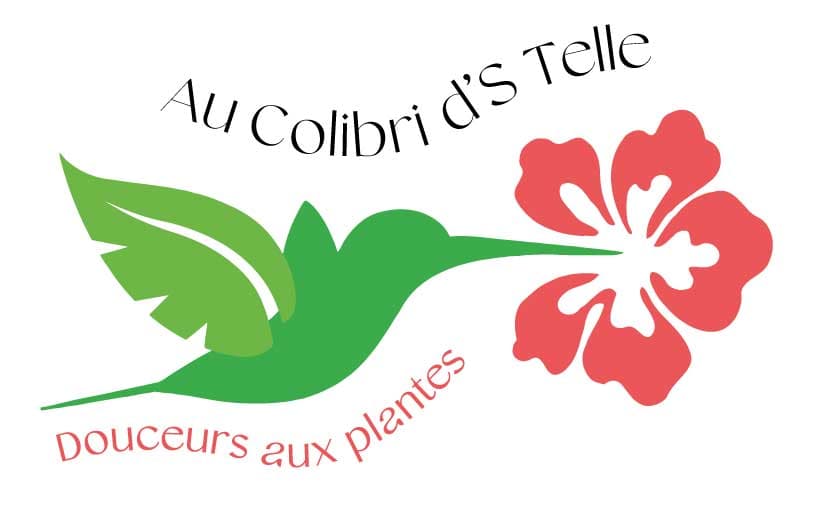 Au Colibri d'Stelle