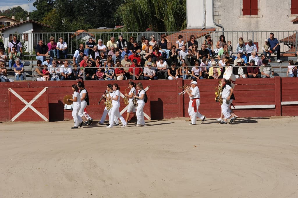 Aurice-arenes
