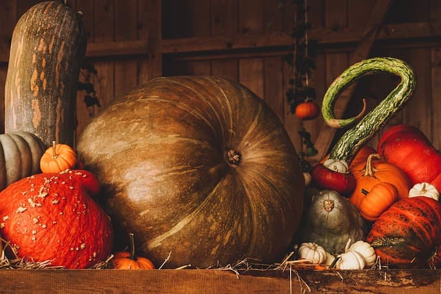Automne - Pixabay