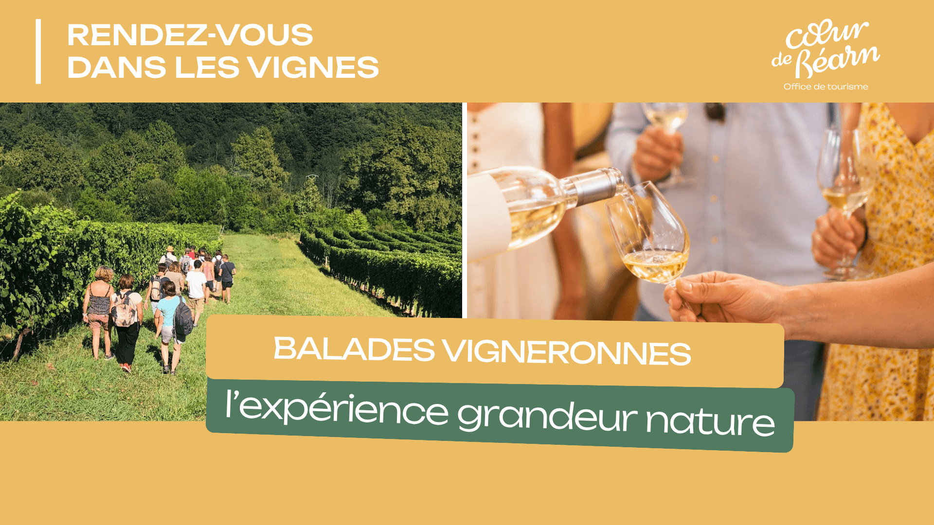 GABARIT HEADER SITE WEB - BALADES VIGNERONNES