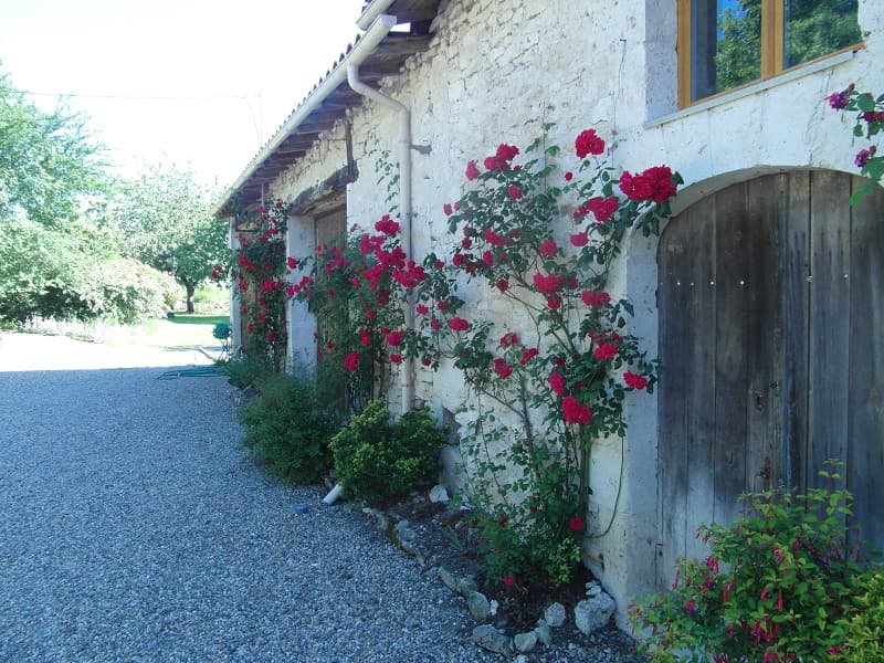 BAMBELE BNB ET GITE