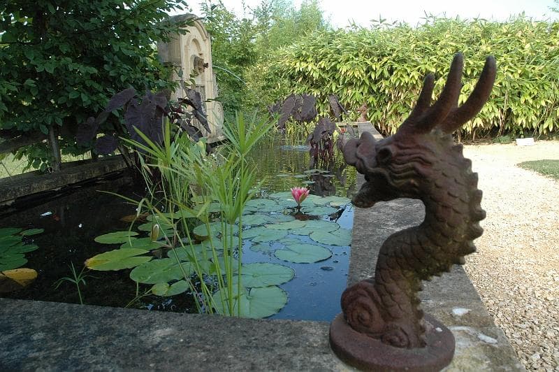 BASSINS DRAGONS