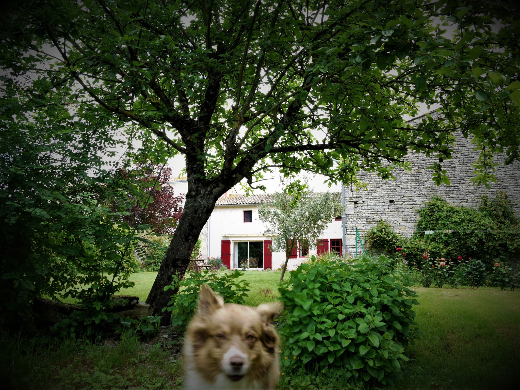 Le gîte du Mignon au Val-du-Mignon (Usseau)