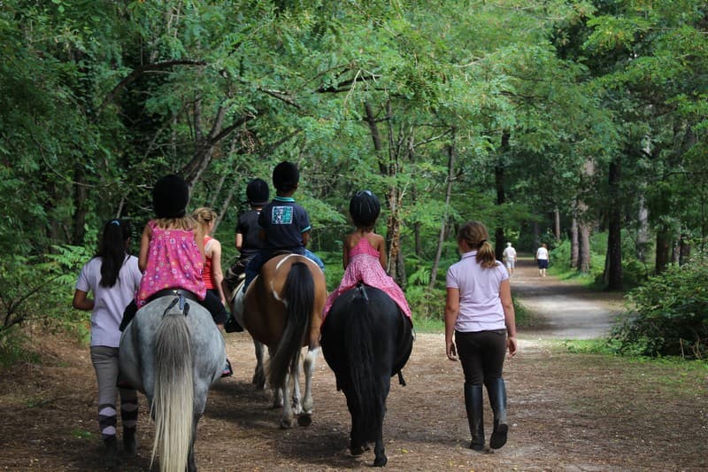Balade à poney