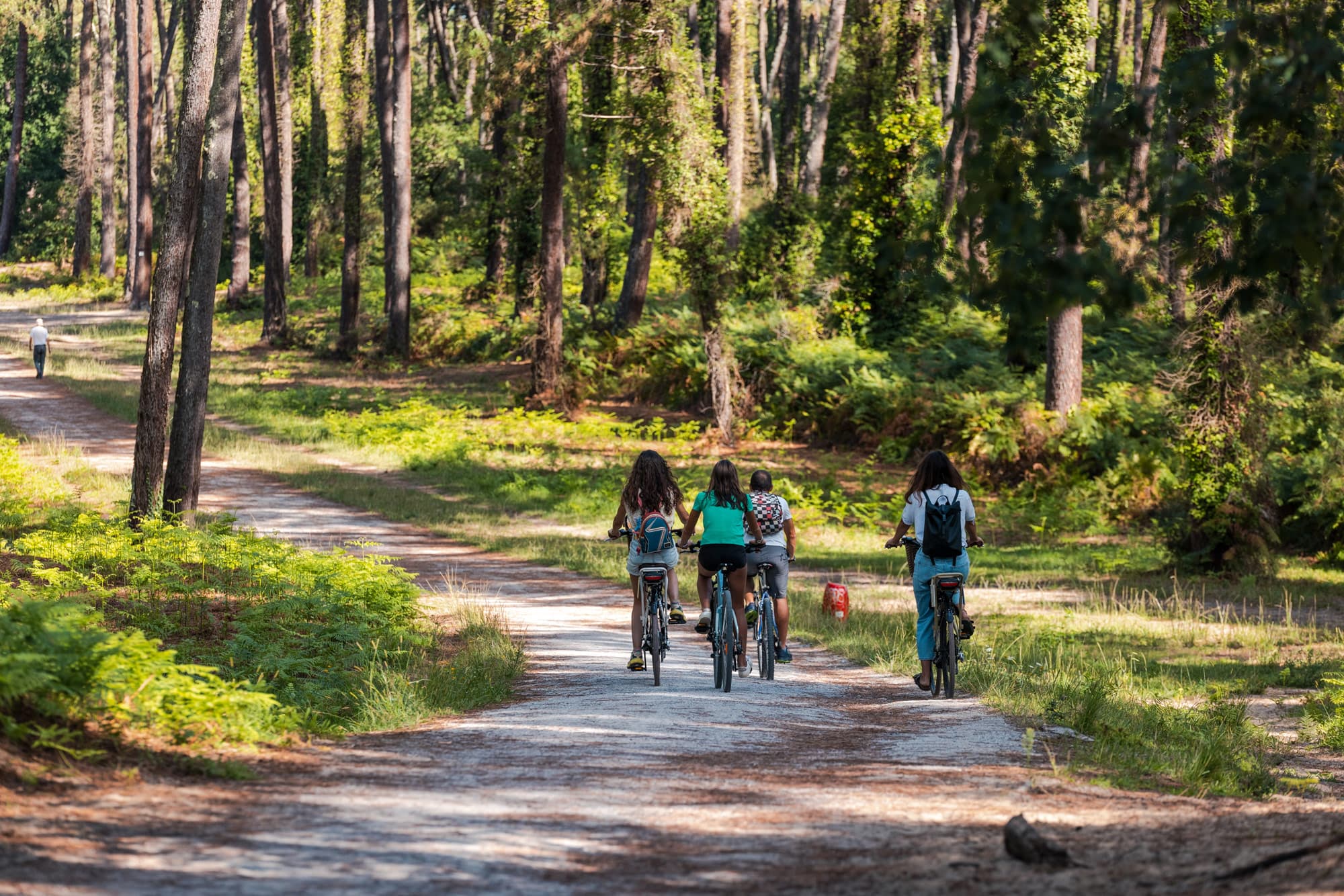 Balade à vélo