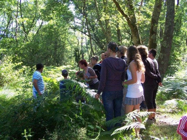 Balade forêt katia