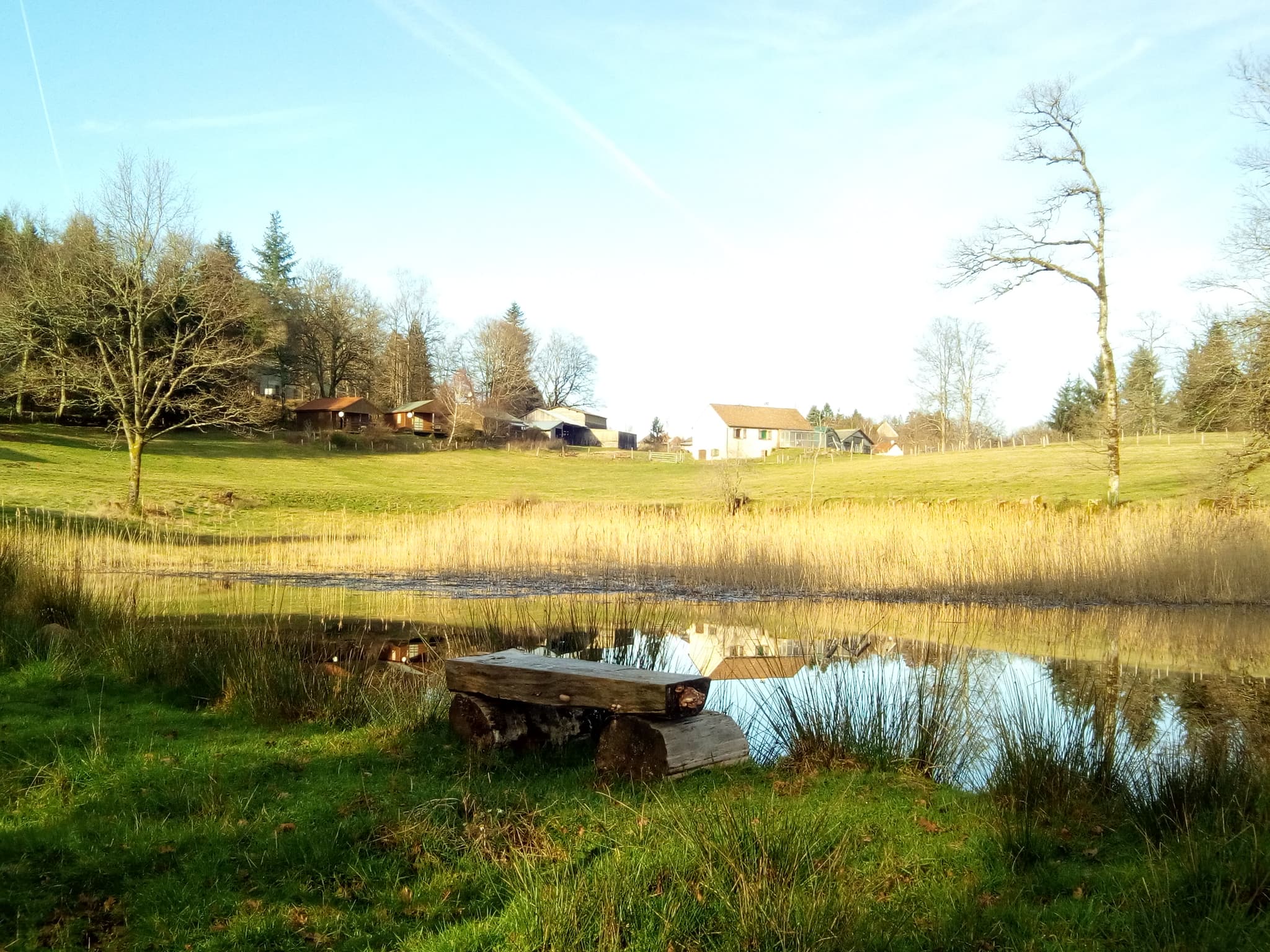Banc au bord de l'étang