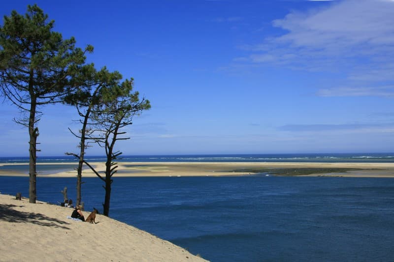 Banc d'arguin
