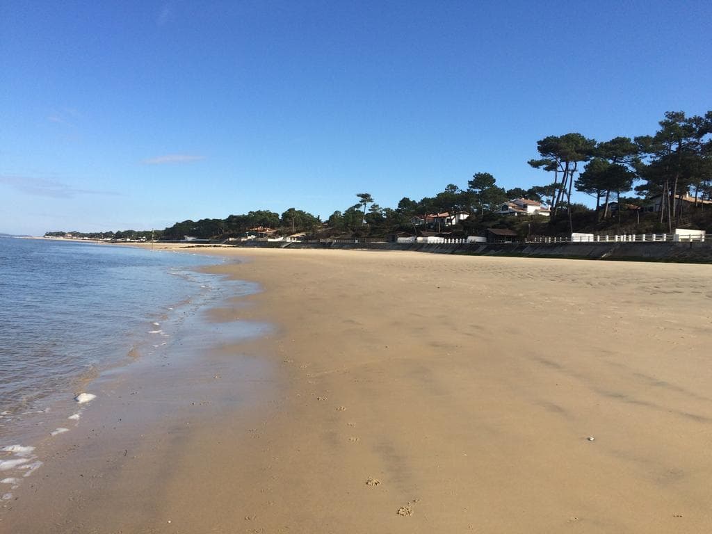 Barbe baque plage 2