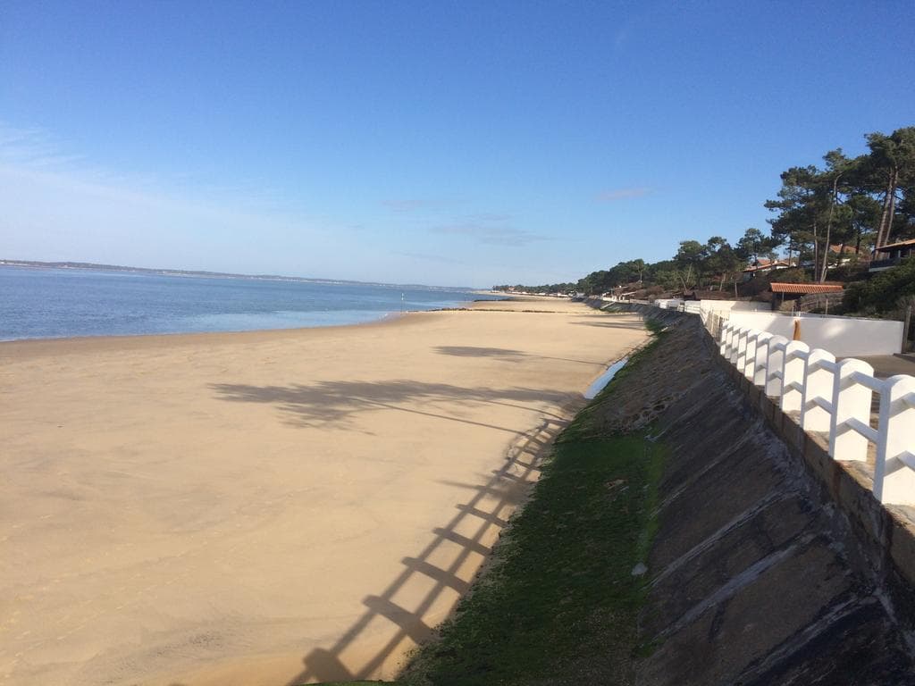 Barbe baque plage