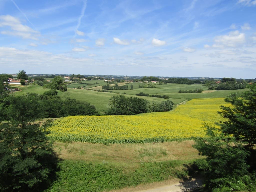 Point de vue belvédère - Bastide de Montfort-en-Chalosse