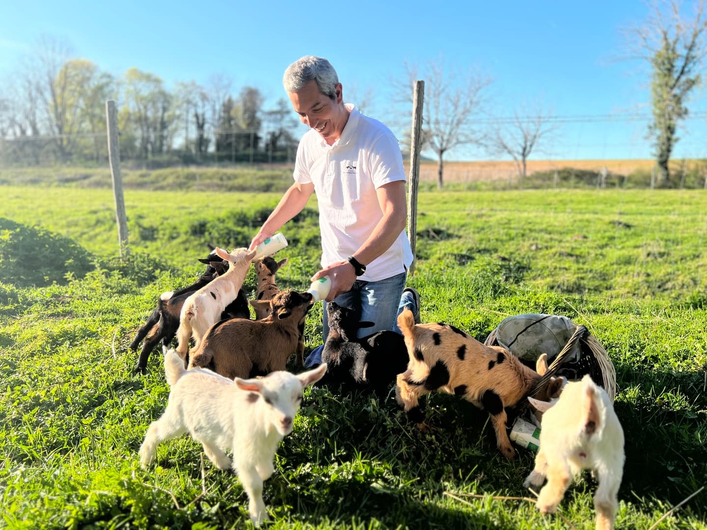 Biberon aux chevreaux pour brochure