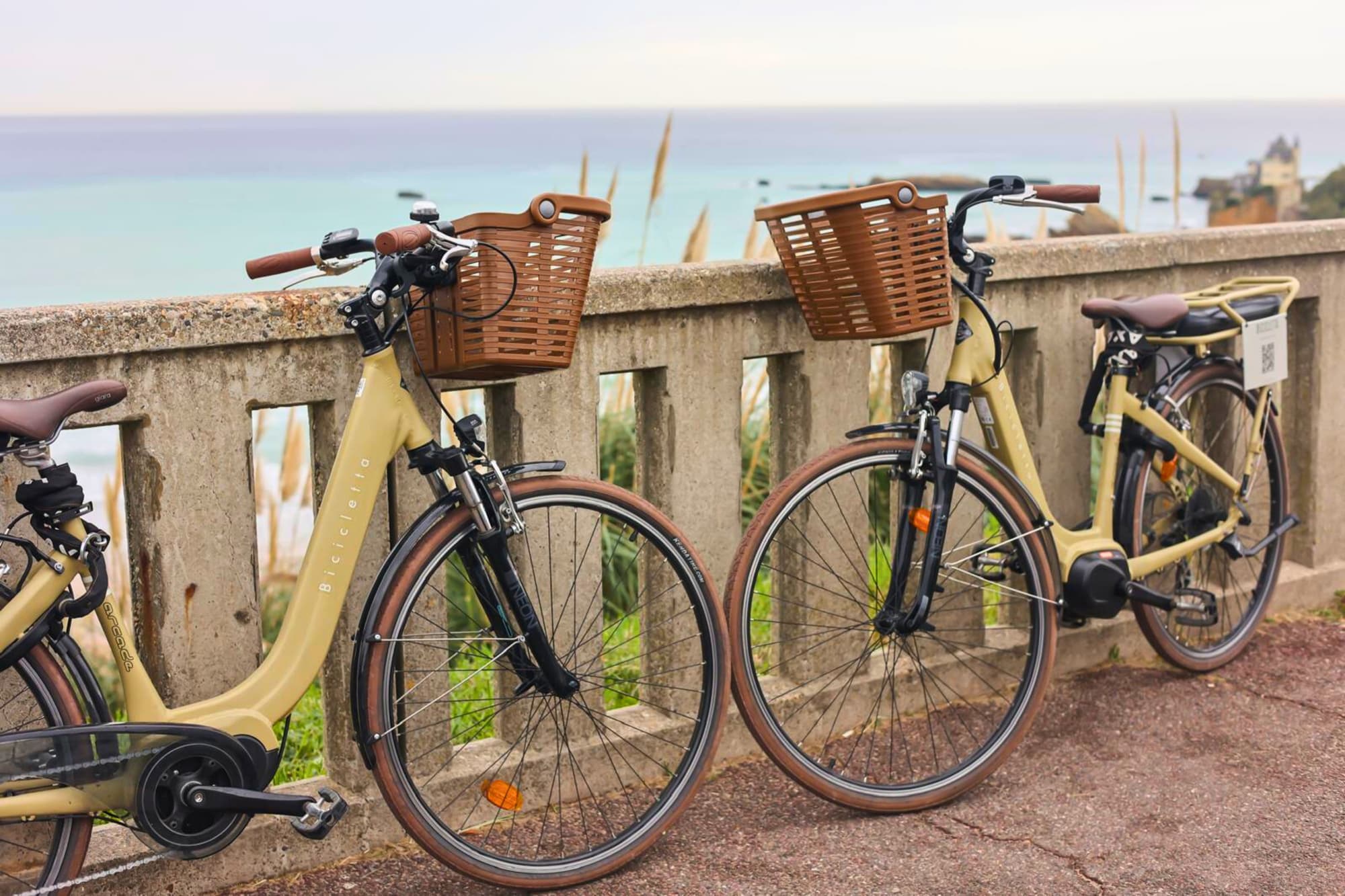 Bicicletta