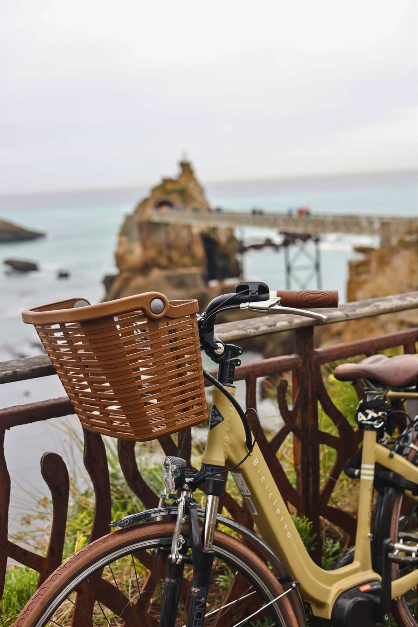 Bicicletta