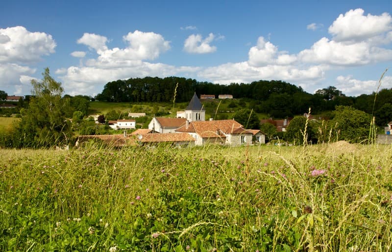 Biras