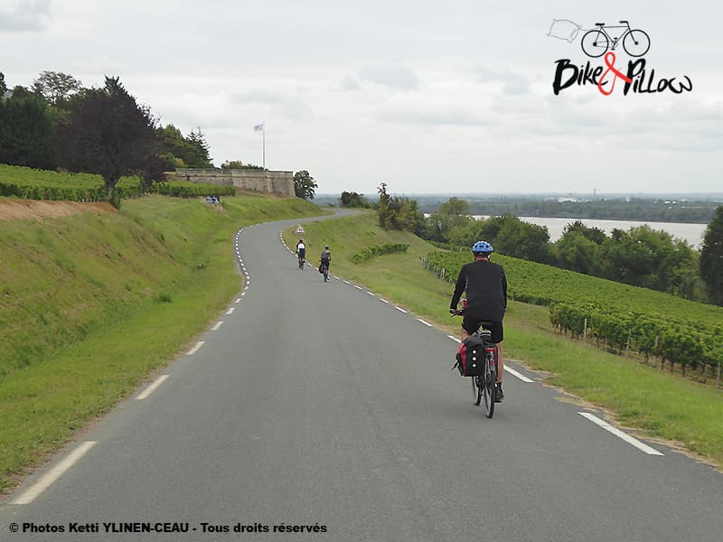 Blaye-Bourg-Bike_Pillow
