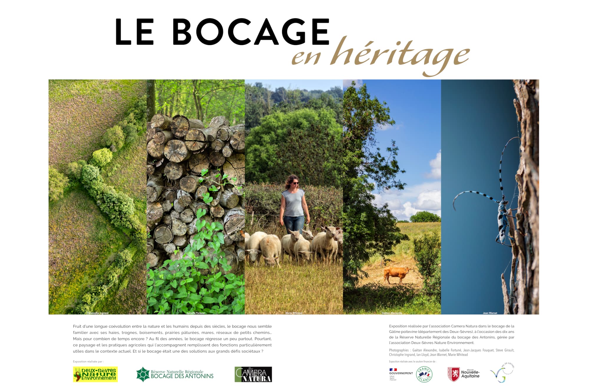 Bocage_aff