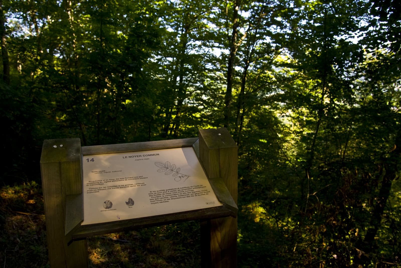 Bois du Calvaire