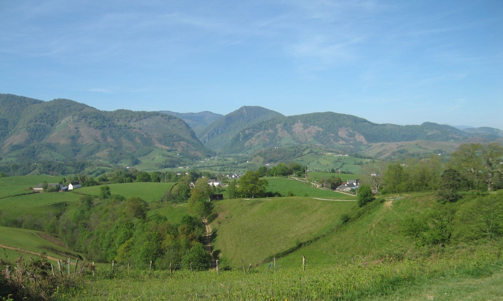 Bois du calvaire