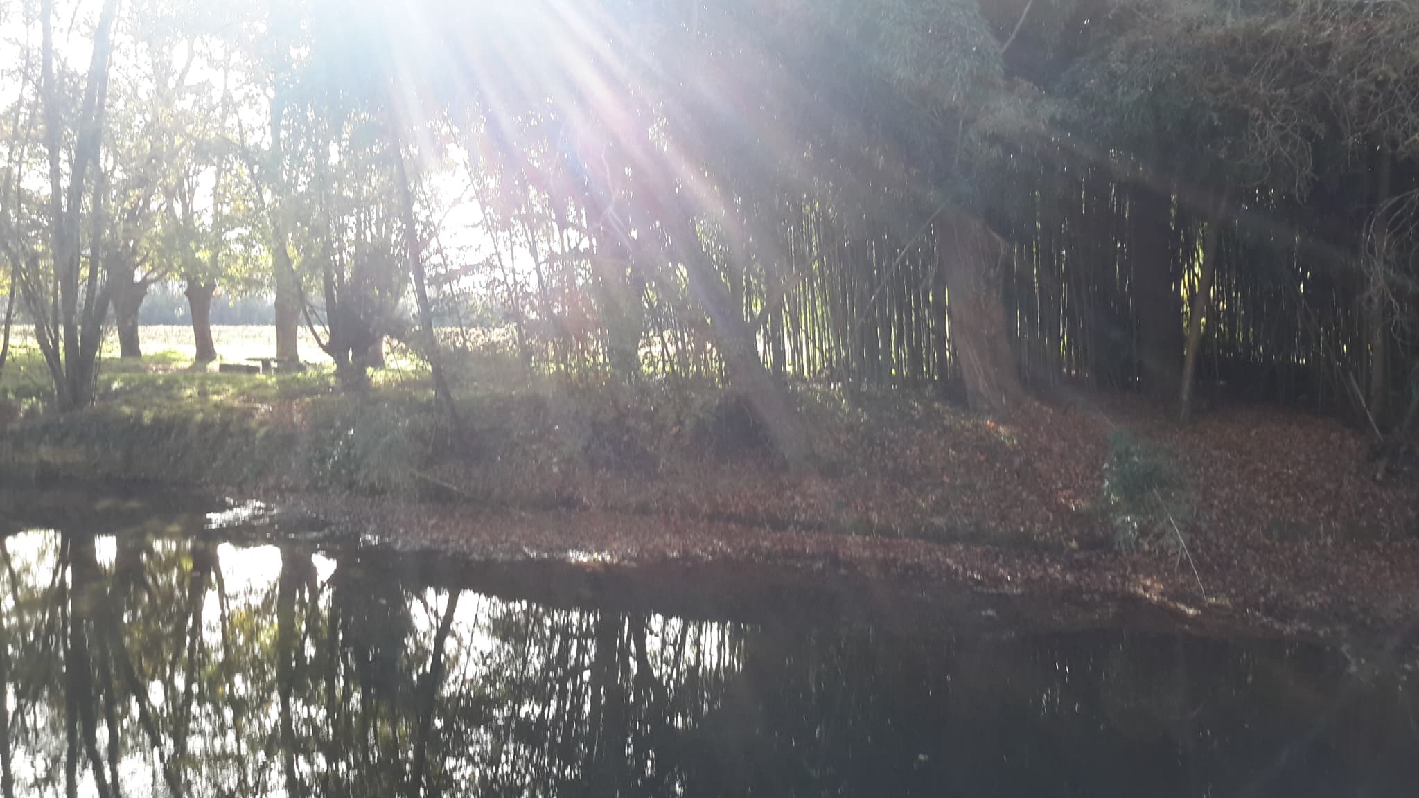 Bord-du-Luy