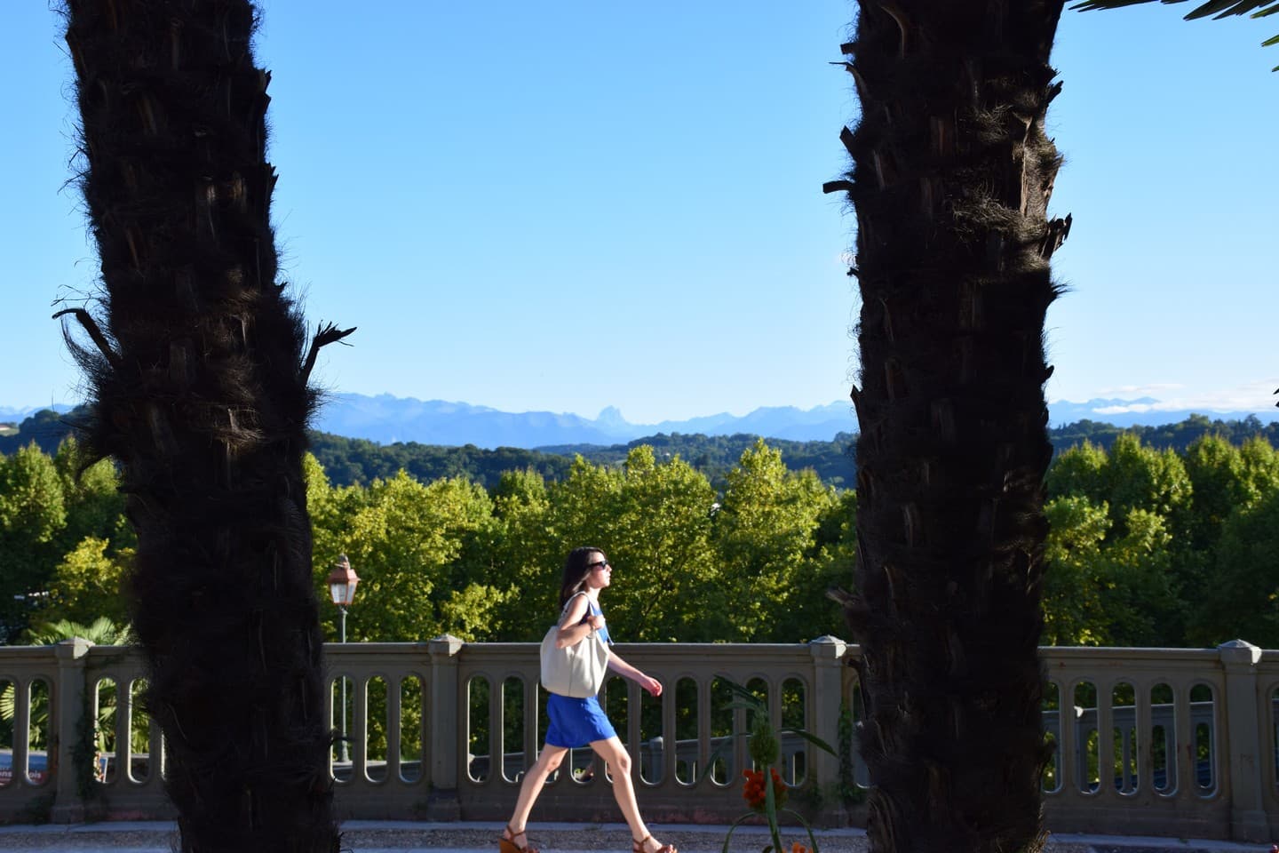 Boulevard des Pyrénées - Pau - Marcheuse