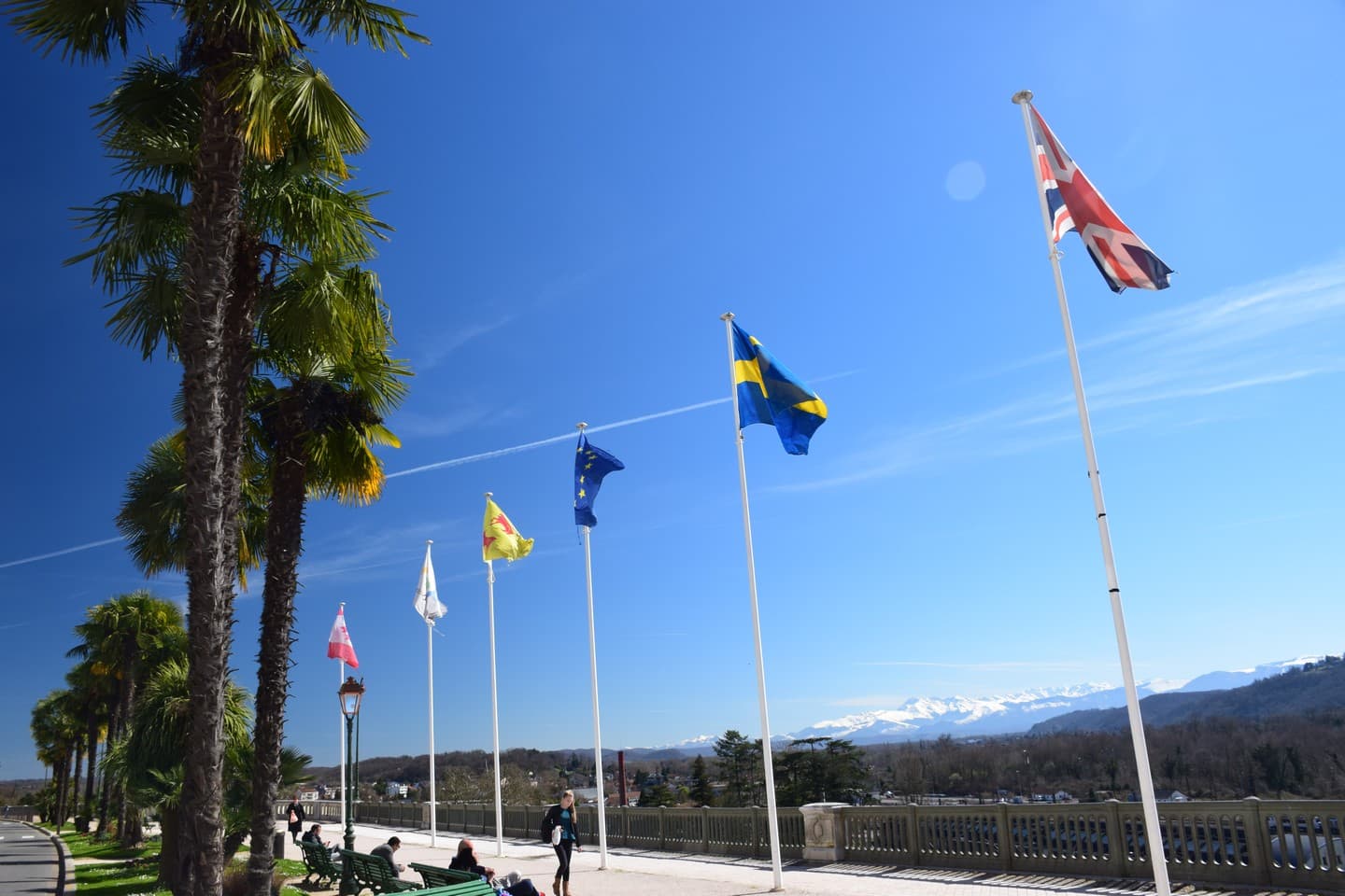 Boulevard des Pyrénées - Pau - Drapeaux