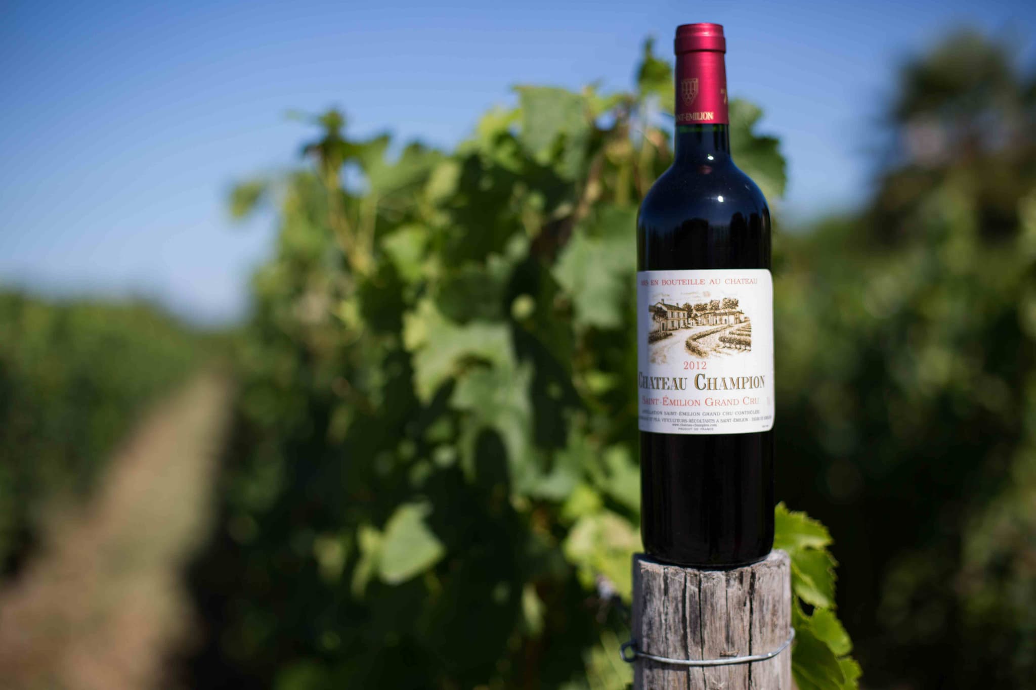 Bouteille Chateau Champion by Vinopixo
