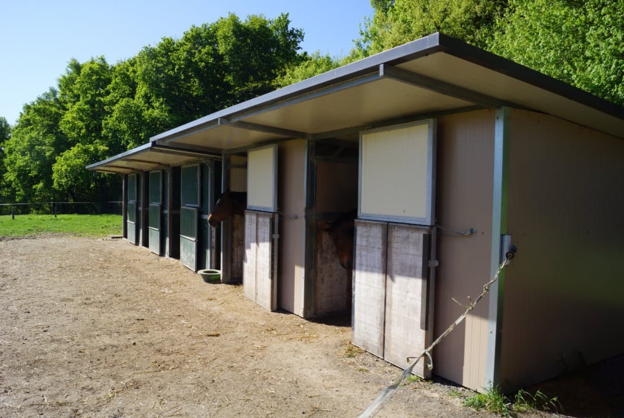 Box chevaux