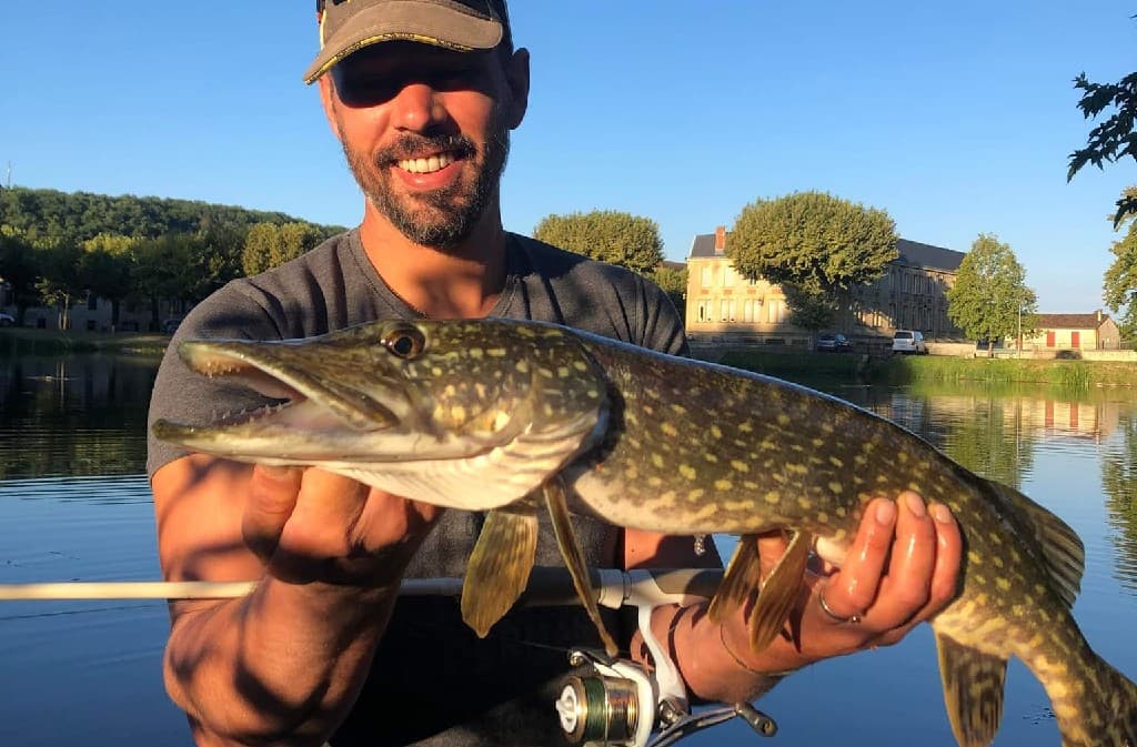 Brochet Anim
