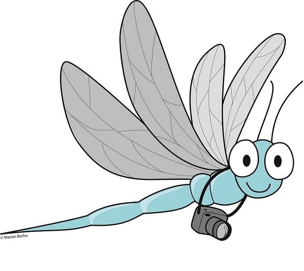Bubulle