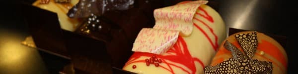 Buche Mendive