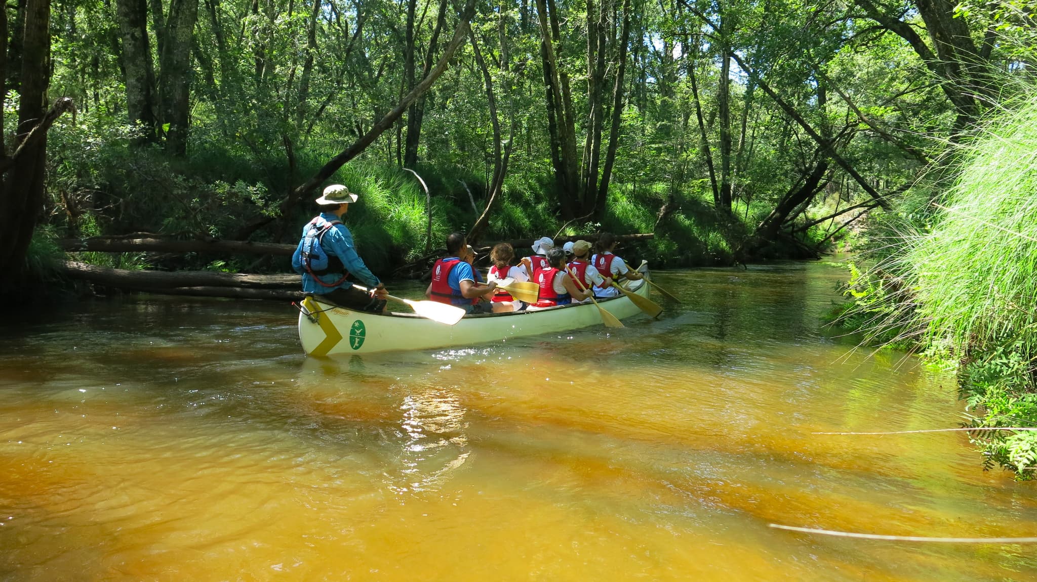 Sortie accompagnée en canoë 10 places