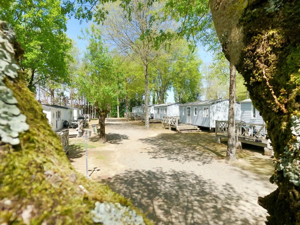CAMPING 2