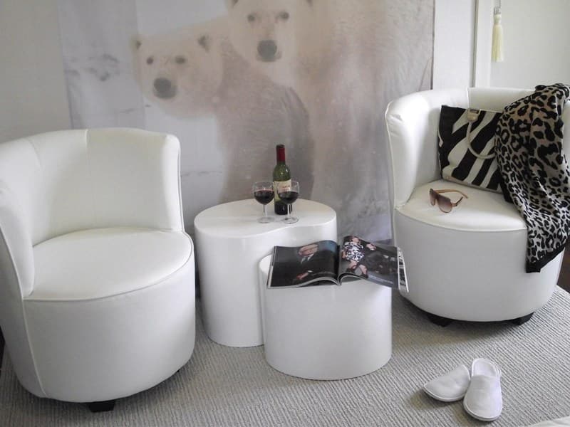 Maison Aguerria-ch ours2
