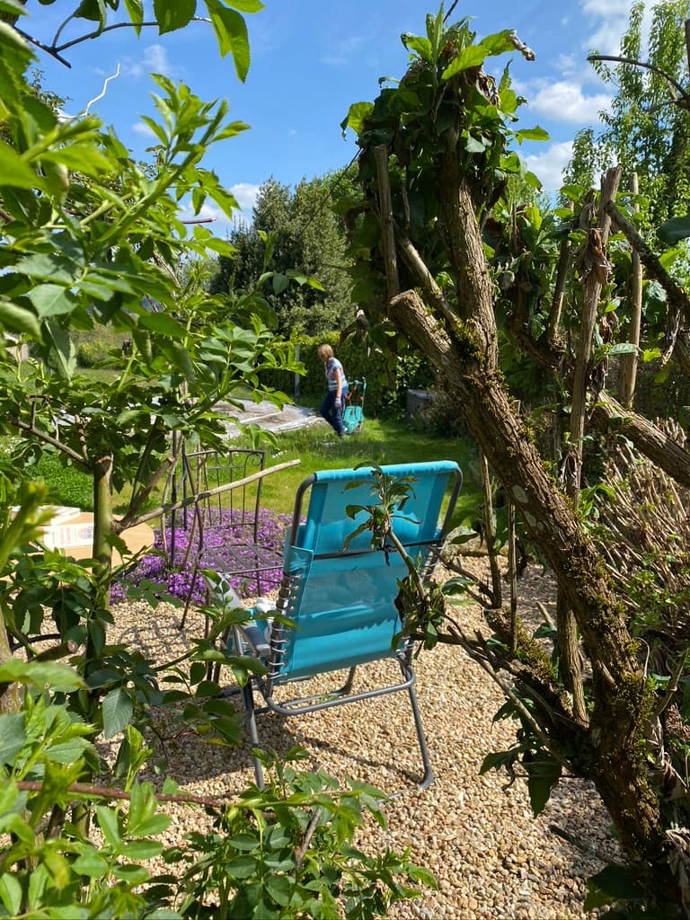 L'Orée de la forêt